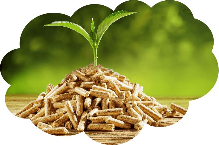 World's Largest Wood Pellet Plant: Epes Facility Overview