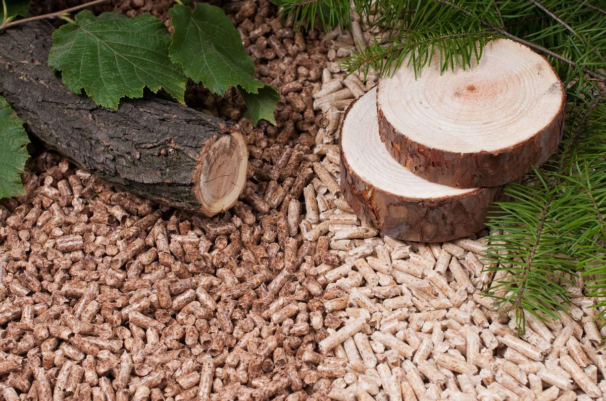 Biomass Pellet Industry News & Market Insights