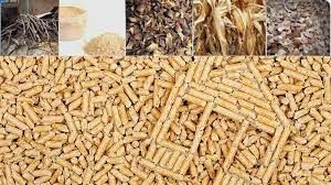 Flat Die vs. Ring Die: Wood Pellet Compression Methods Explained