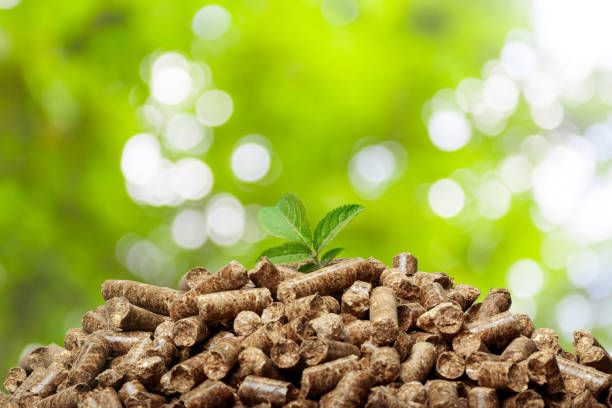 Vertical Wood Pellet Machines and Carbon Emission Reduction